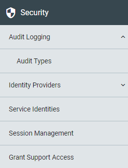 Audit_Logging.png
